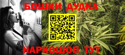 гашик Бийск