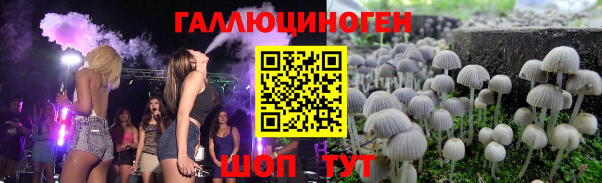 Псилоцибиновые грибы мухоморы  Гусь-Хрустальный 