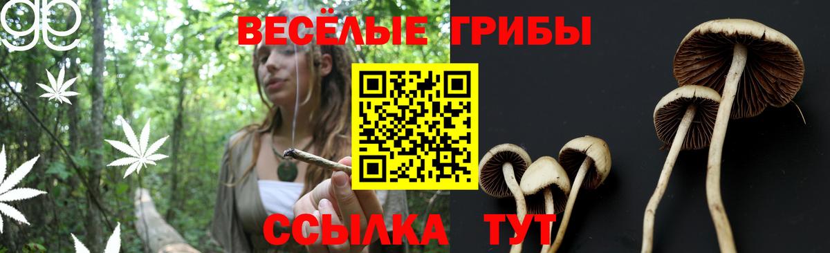 Псилоцибиновые грибы MAGIC MUSHROOMS Гусь-Хрустальный